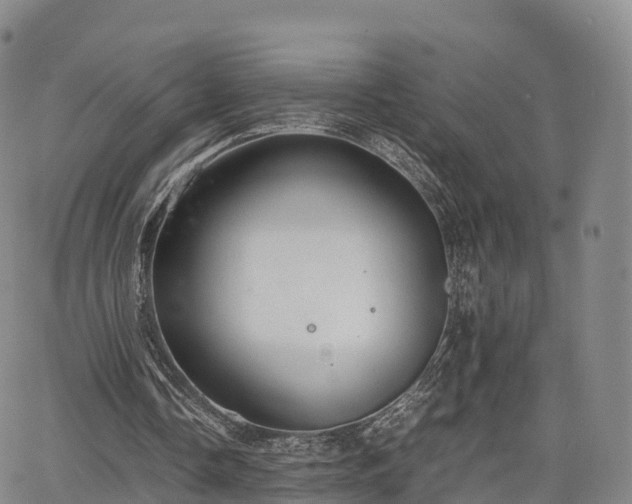 X0000067500338200604101236