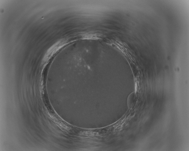 X0000067500339200604101236