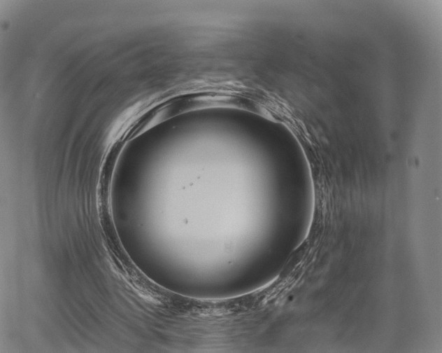 X0000067500340200604101236