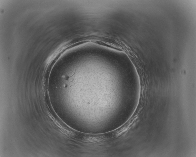 X0000067500341200604101236