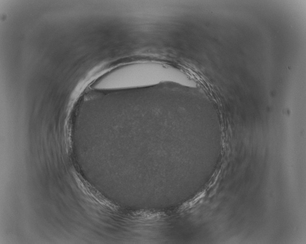 X0000067500343200604101236