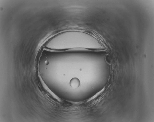 X0000067500344200604101236