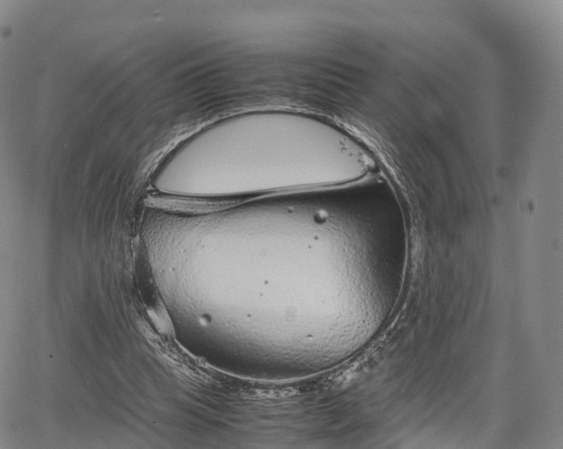 X0000067500345200604101236