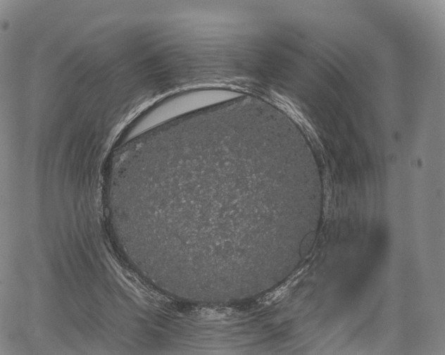 X0000067500346200604101236