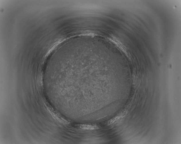 X0000067500347200604101236