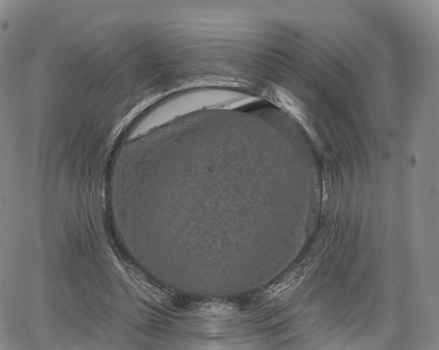 X0000067500348200604101236