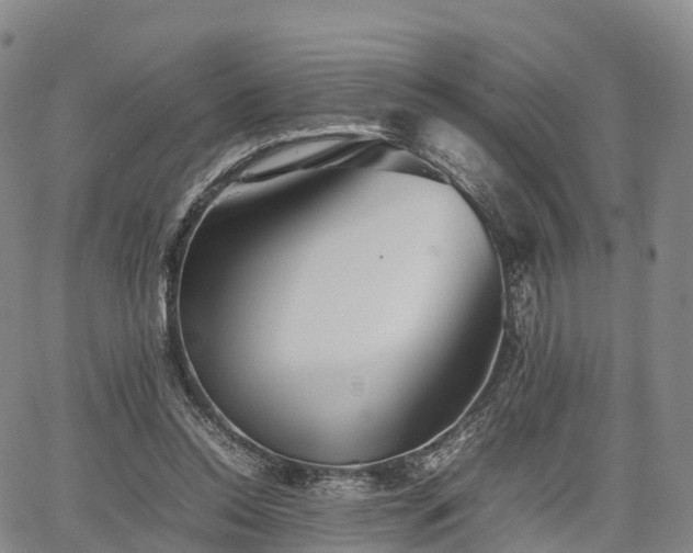 X0000067500350200604101236