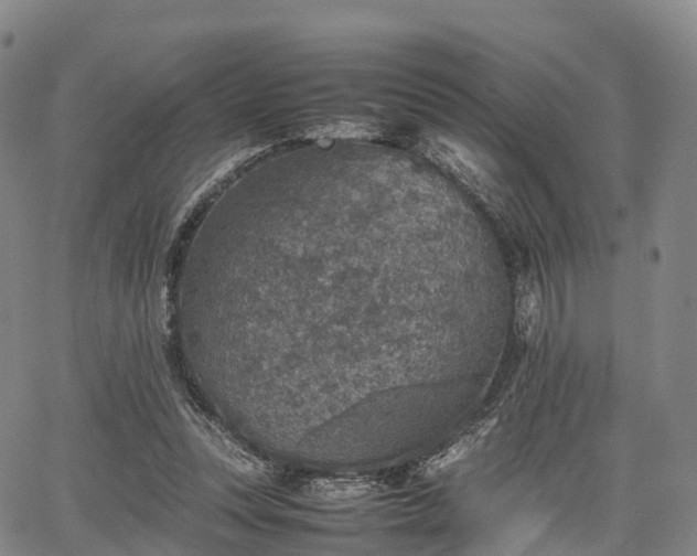 X0000067500351200604101236