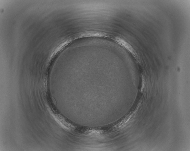 X0000067500352200604101236