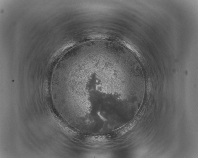 X0000067500353200604101236