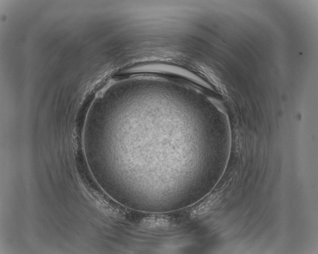 X0000067500354200604101236