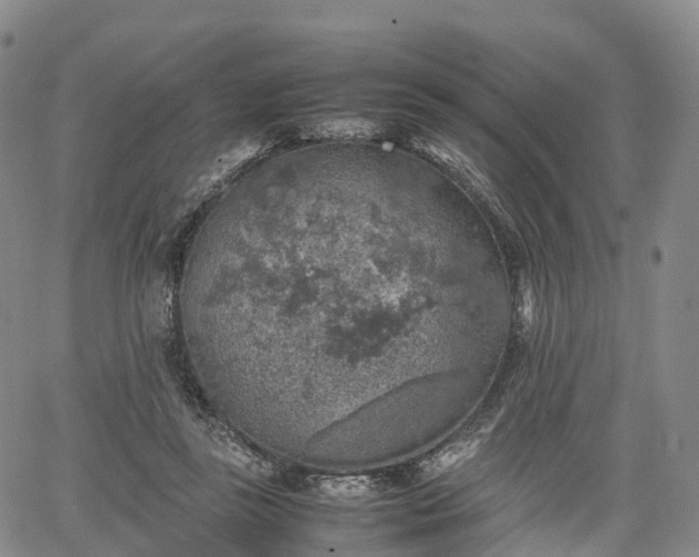 X0000067500355200604101236