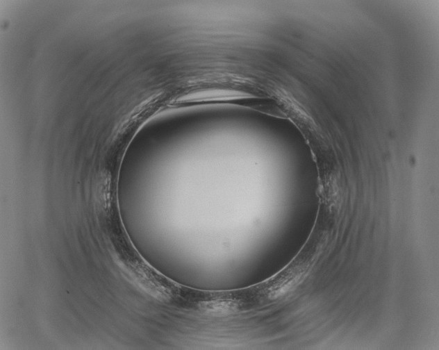 X0000067500356200604101236