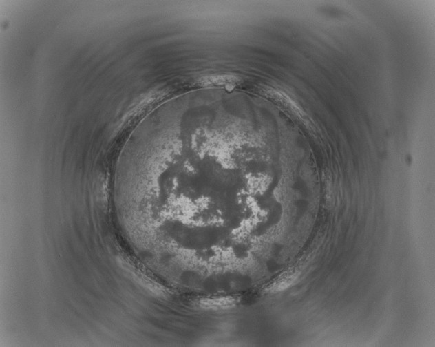 X0000067500357200604101236