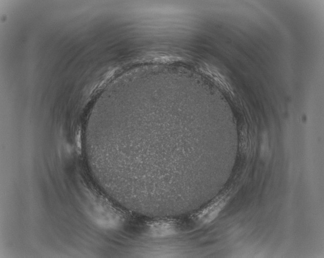 X0000067500358200604101236