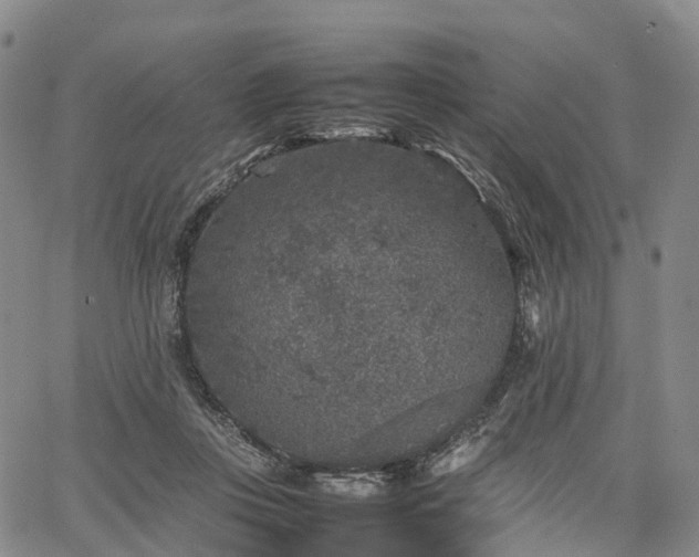 X0000067500359200604101236