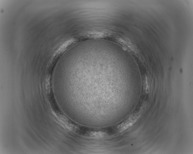 X0000067500360200604101236