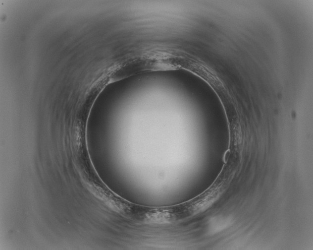 X0000067500362200604101236