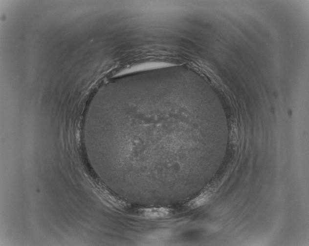 X0000067500363200604101236