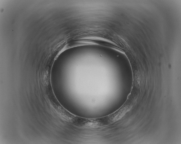 X0000067500364200604101236