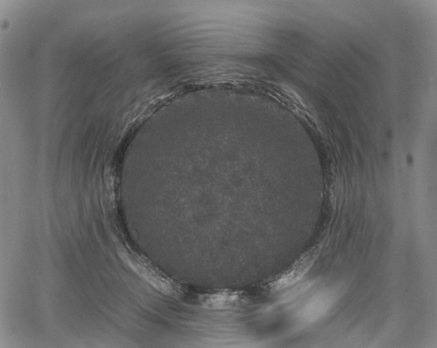 X0000067500366200604101236