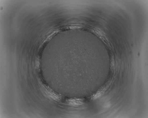 X0000067500367200604101236