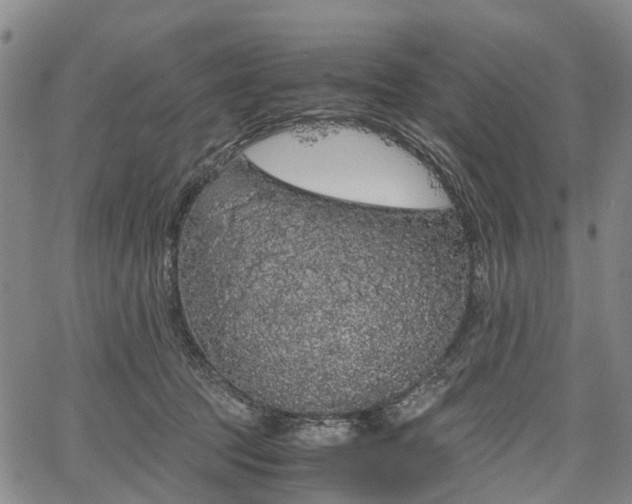 X0000067500369200604101236