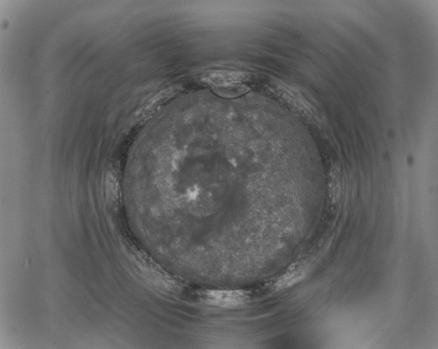 X0000067500371200604101236