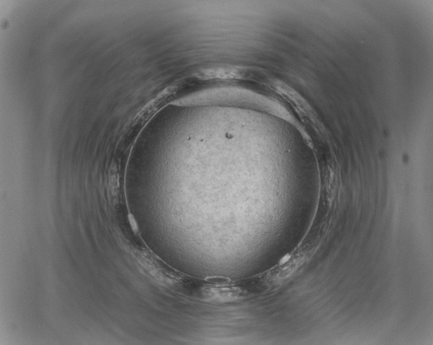 X0000067500372200604101236