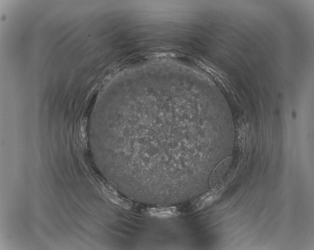 X0000067500373200604101236