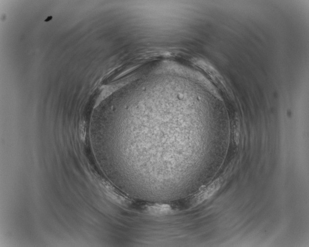 X0000067500374200604101236