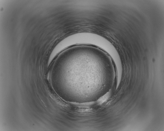 X0000067500375200604101236