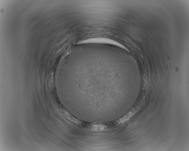 X0000067500376200604101236