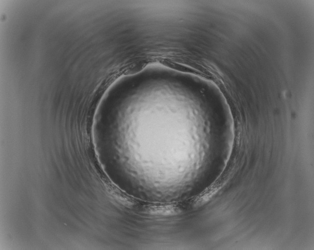 X0000067500377200604101236