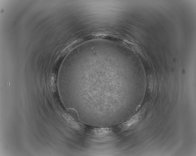 X0000067500378200604101237