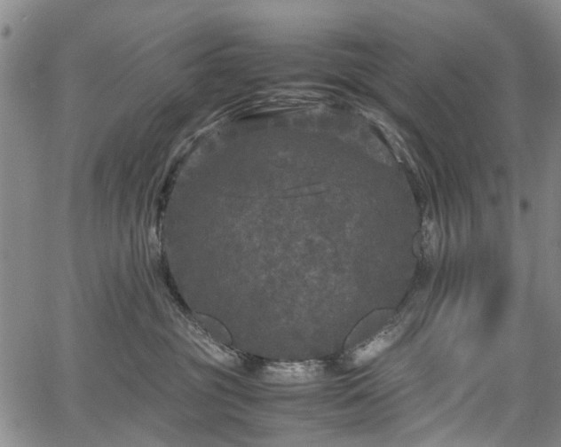 X0000067500381200604101237