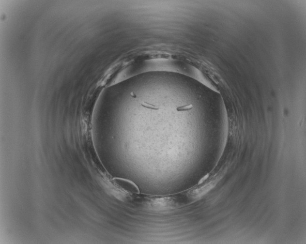 X0000067500382200604101237