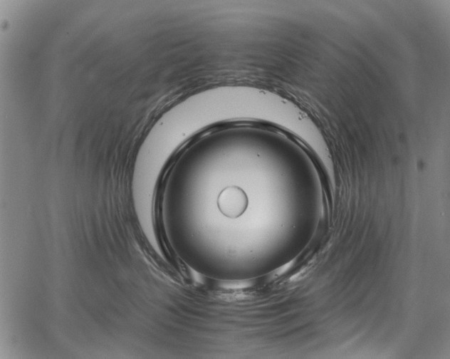 X0000067500383200604101237