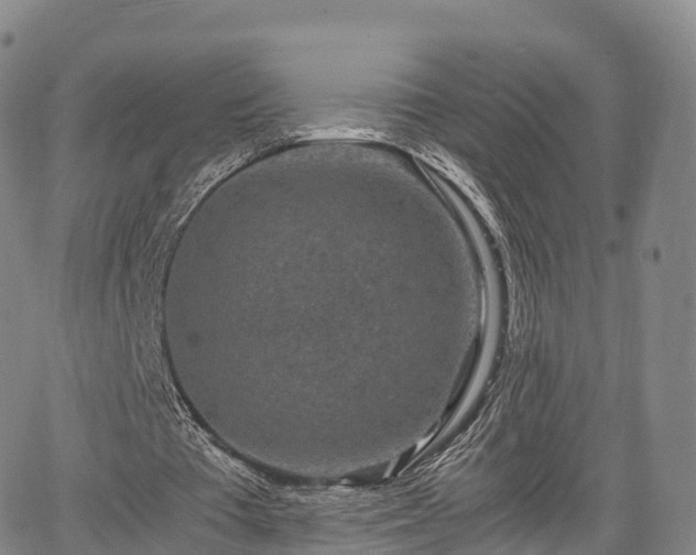 X0000067500385200604101236