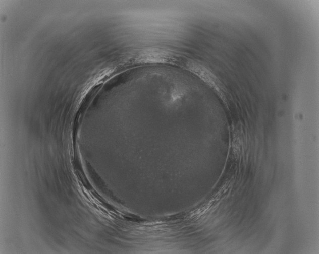 X0000067500386200604101236