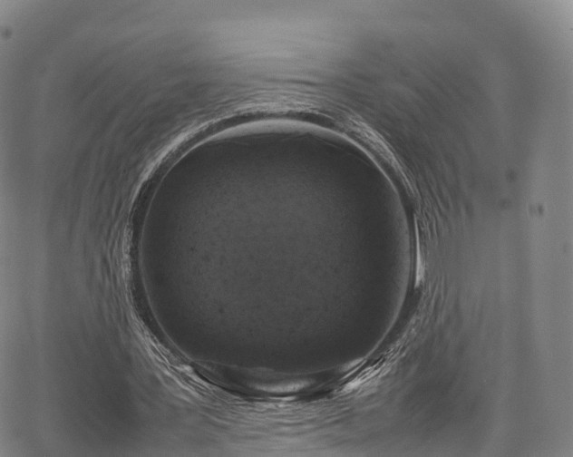 X0000067500387200604101236