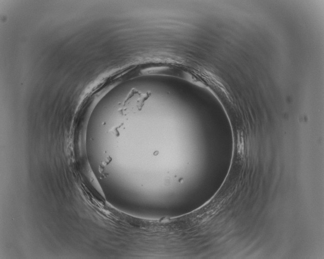 X0000067500388200604101236