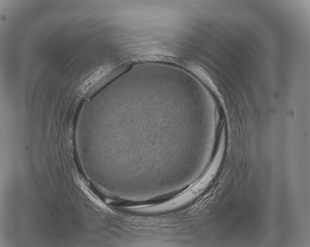 X0000067500389200604101236