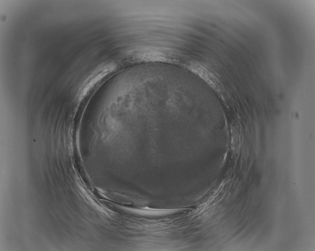 X0000067500390200604101236