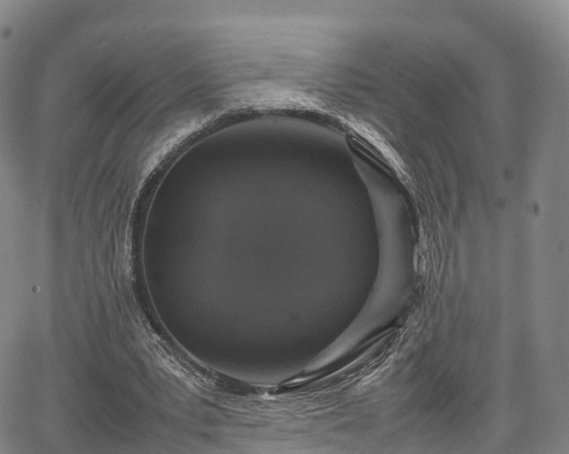 X0000067500391200604101236