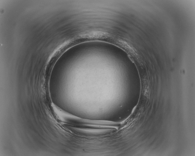 X0000067500392200604101236