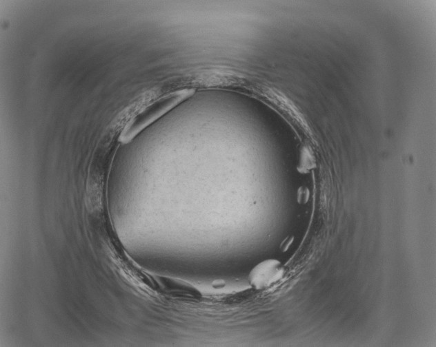 X0000067500393200604101236