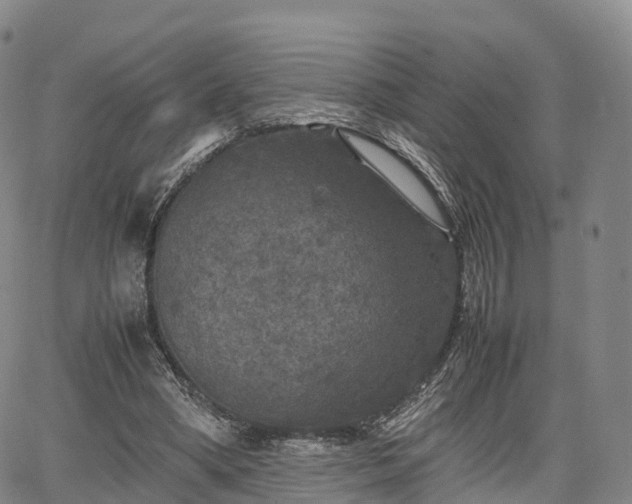 X0000067500394200604101236