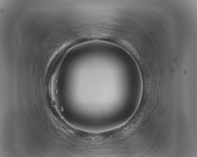 X0000067500395200604101236