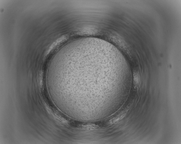 X0000067500396200604101236